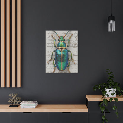 Emerald Beetle Natural History Wall Art & Canvas Print