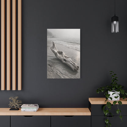 Driftwood Coastal Minimal Wall Art & Canvas Print