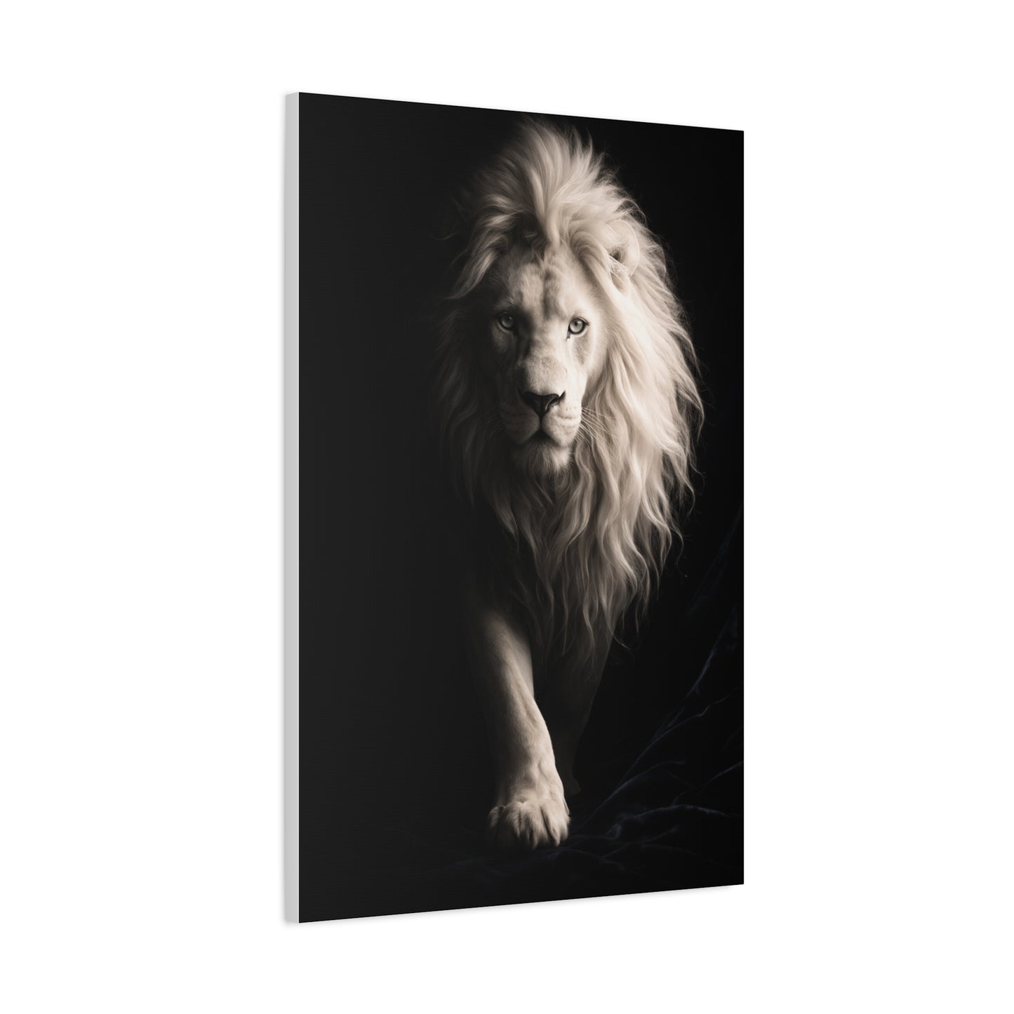 White Lion Shadow Walk Power Wall Art & Canvas Print
