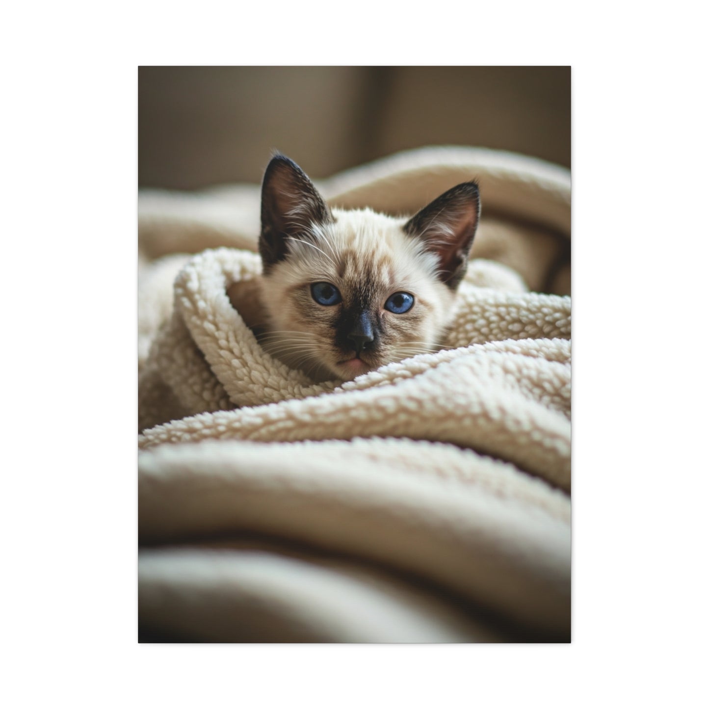 Cozy Kitten Comfort Wall Art & Canvas Prints