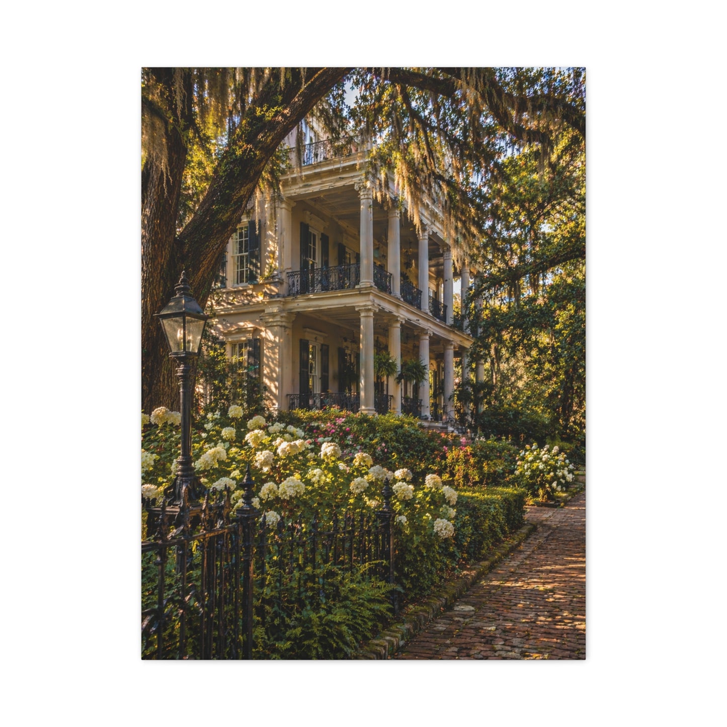 Garden District Mansion Under Live Oaks Wall Art & Canvas Print