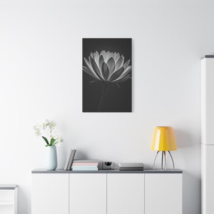 Dramatic Hibiscus Petal Study Wall Art & Canvas Prints