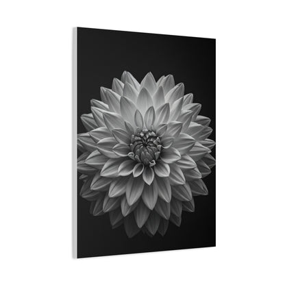 Dahlia Bloom in Shadow Monochrome Wall Art & Canvas Prints