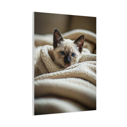 Cozy Kitten Comfort Wall Art & Canvas Prints