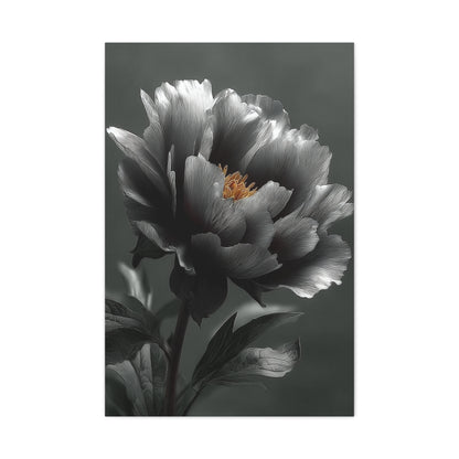 Silver Peony Fine Art Floral Wall Art & Canvas Print