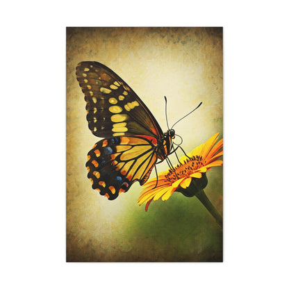 Golden Meadow Butterfly on Flower Wall Art & Canvas Prints