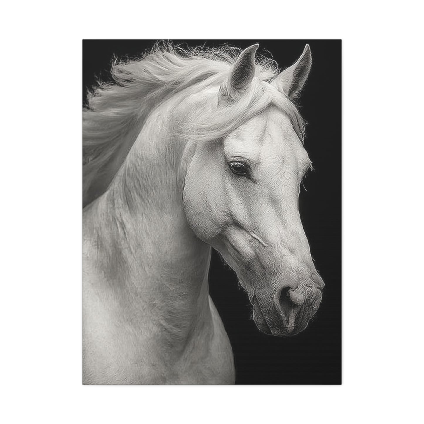 White Horse Fine Art Portrait Wall Art & Canvas Print