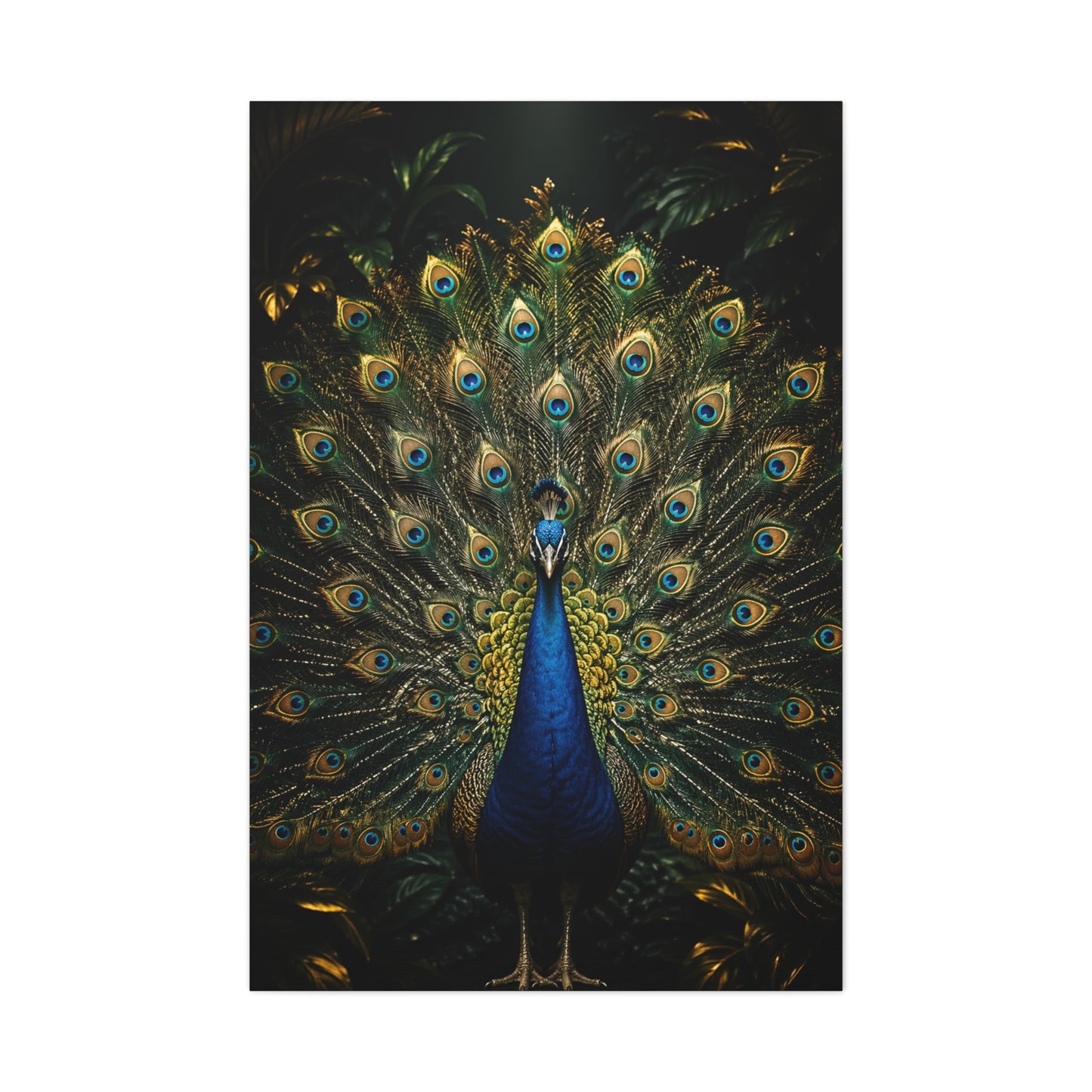 Opulent Jungle Peacock Display Wall Art & Canvas Print