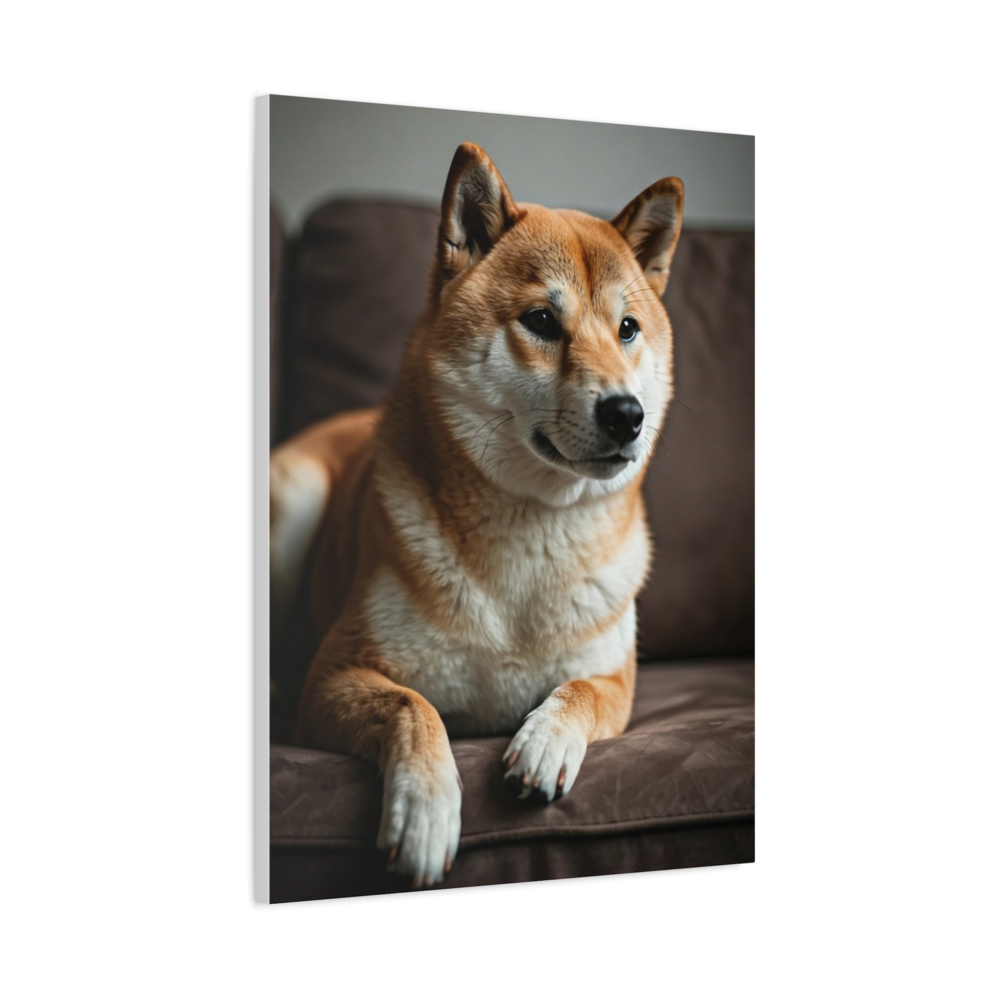 Cozy Shiba Serenity Wall Art & Canvas Print