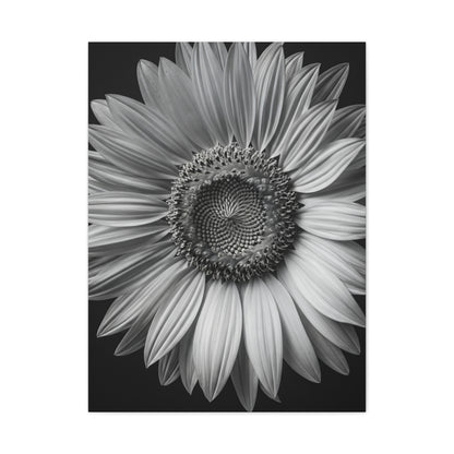 Velvet Orchid Bloom in Monochrome Wall Art & Canvas Prints