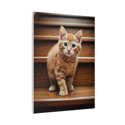 Curious Kitten on Wooden Steps Wall Art & Canvas Prints