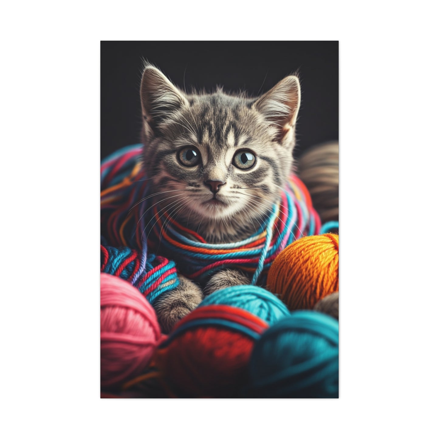 Whiskers in Wool Wall Art & Canvas Print