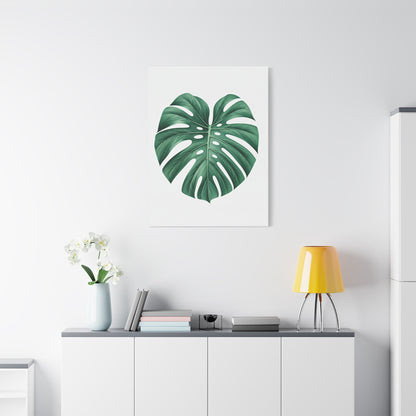 Monstera Leaf Modern Botanical Wall Art & Canvas Prints