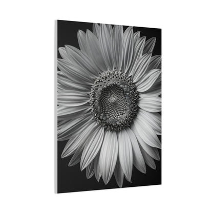 Velvet Orchid Bloom in Monochrome Wall Art & Canvas Prints