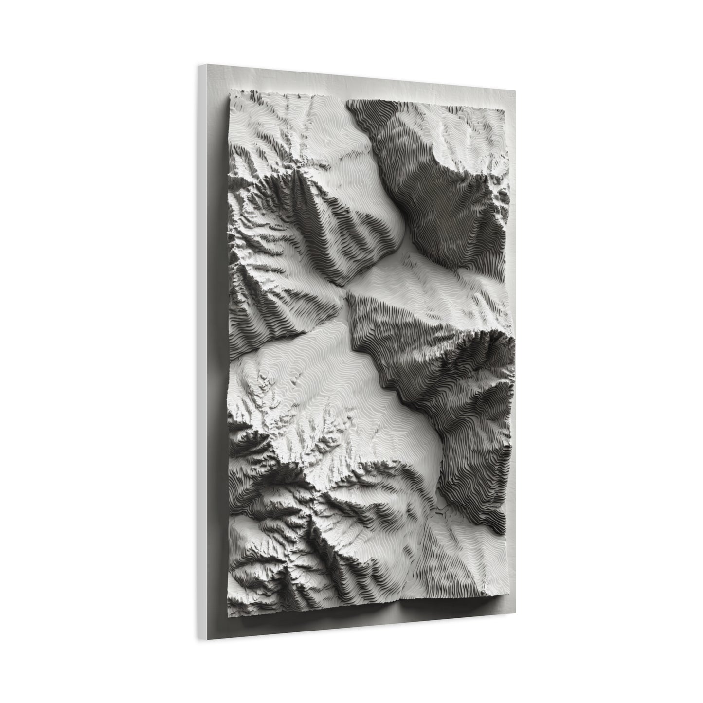 Sculpted Topographic Relief Wall Art & Canvas Print