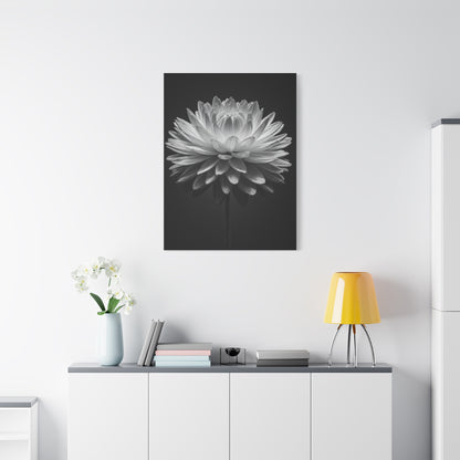 Symmetrical Dahlia Bloom Wall Art & Canvas Prints