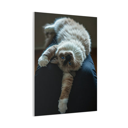 Serene Blue-Eyed Cat Wall Art & Canvas Prints