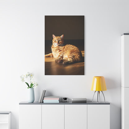 Sunlit Feline Serenity Wall Art & Canvas Print