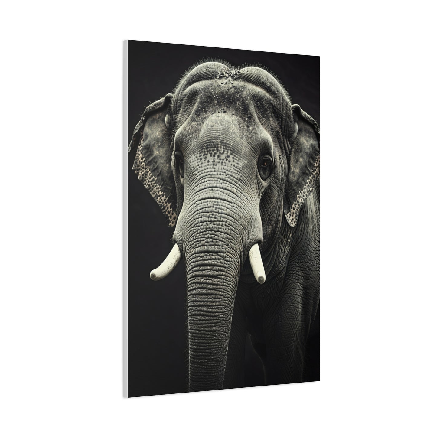 Regal Elephant Close-Up Wall Art & Canvas Prints
