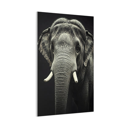 Regal Elephant Close-Up Wall Art & Canvas Prints