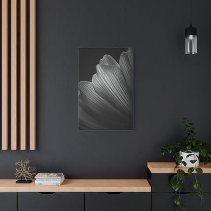 Sculpted Daffodil Bloom Study Wall Art & Canvas Prints