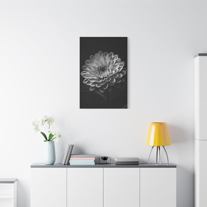 Full Bloom Dahlia Portrait Wall Art & Canvas Prints