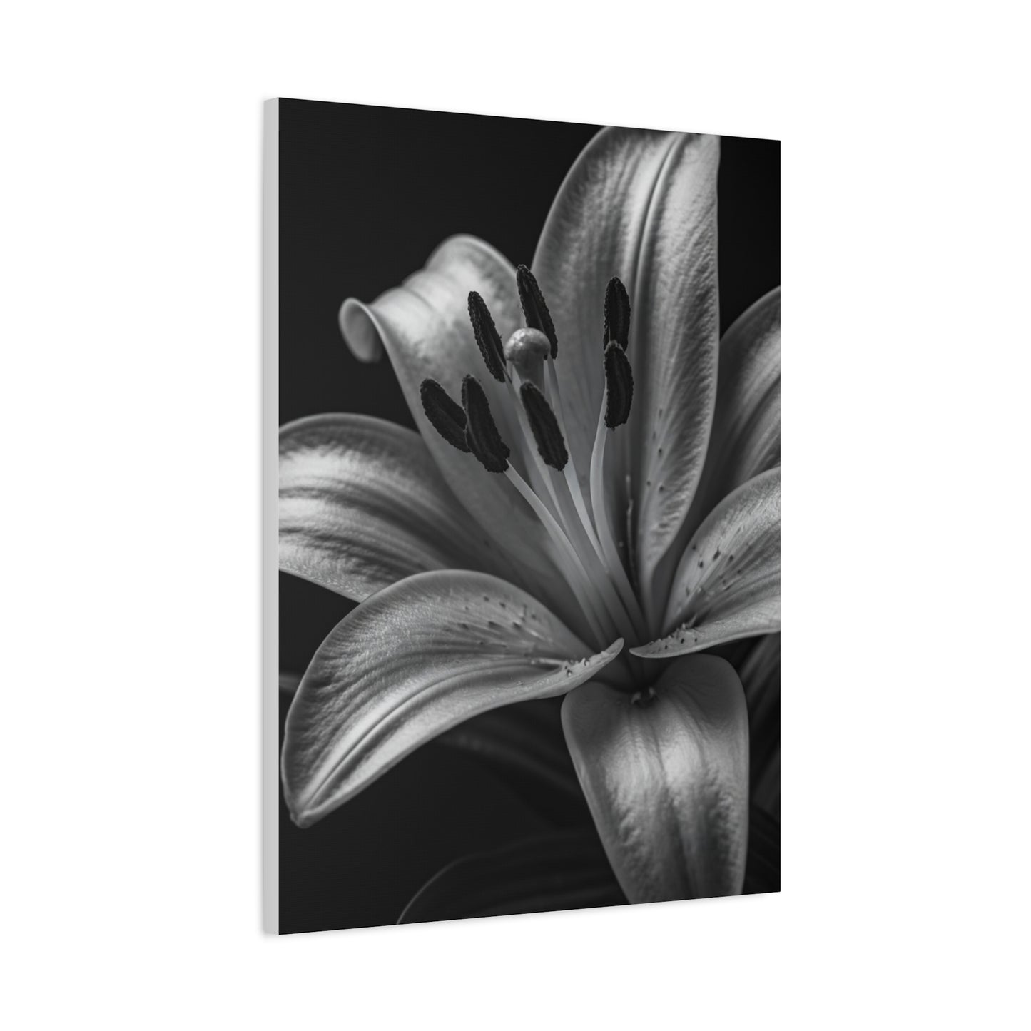 Lavender Silhouette in Low Light Wall Art & Canvas Prints