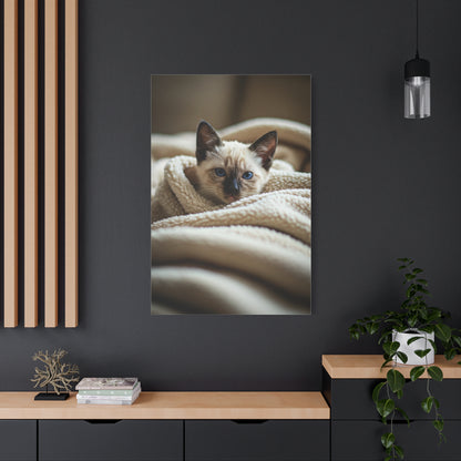 Cozy Kitten Comfort Wall Art & Canvas Prints