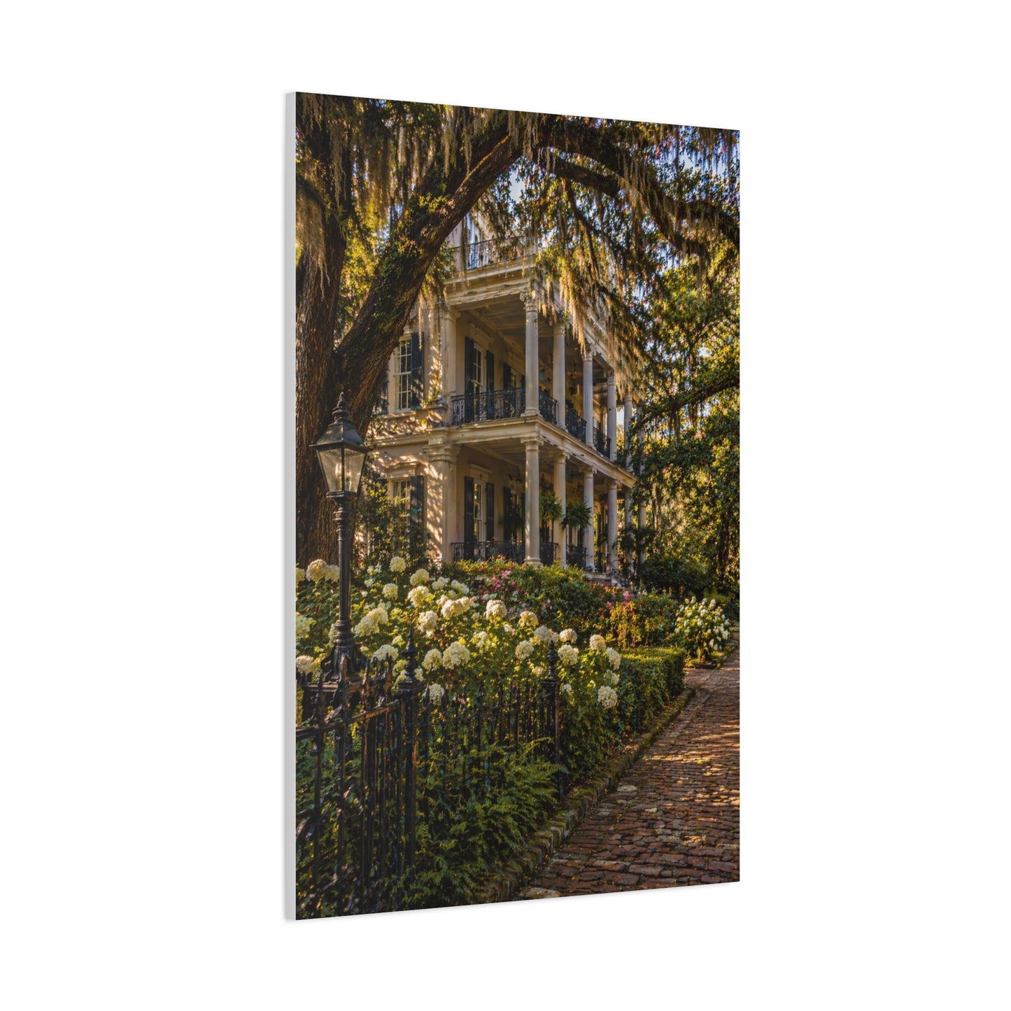 Garden District Mansion Under Live Oaks Wall Art & Canvas Print