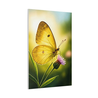 Golden Light Butterfly Close-Up Wall Art & Canvas Prints
