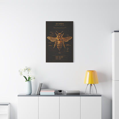 Gold Bee Entomology Study Wall Art & Canvas Print