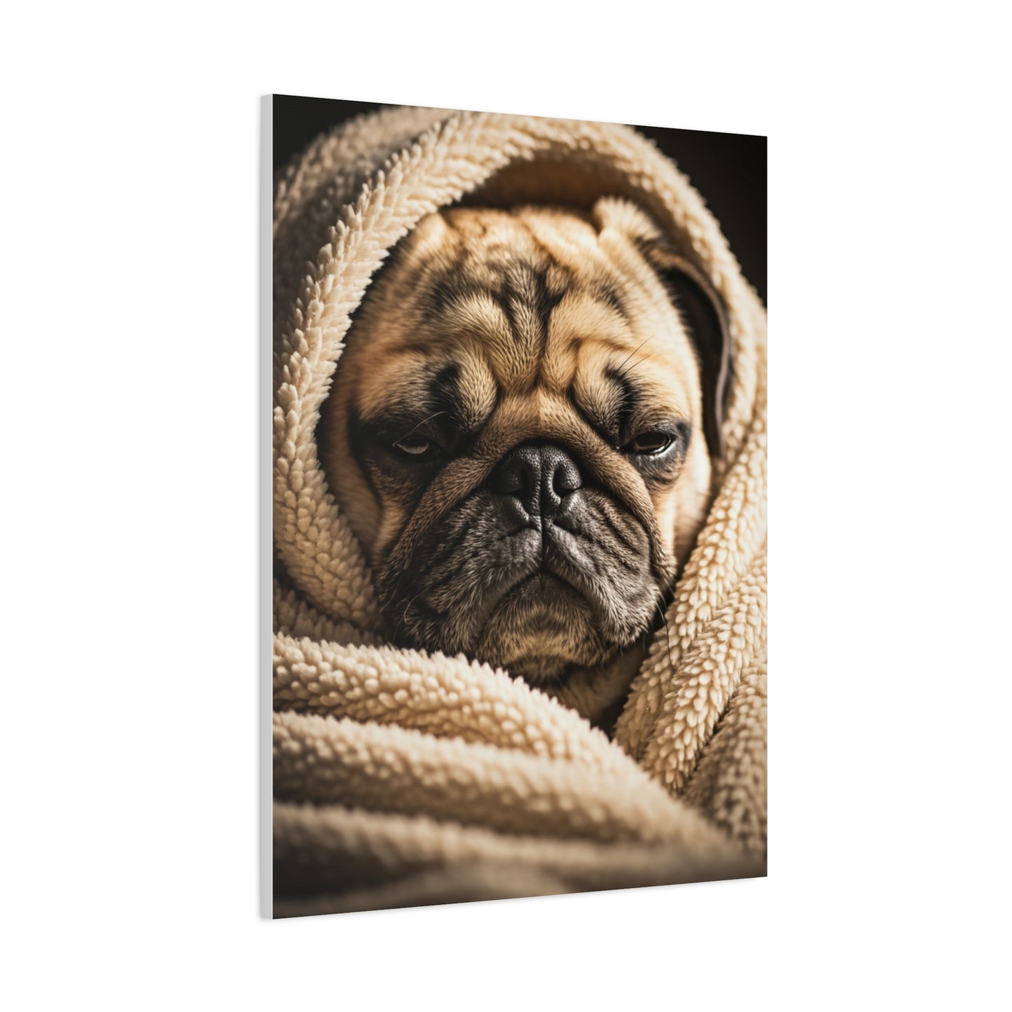 Wrapped in Warmth Pug Wall Art & Canvas Print