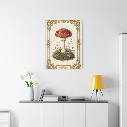 Victorian Botanical Mycology Plate Wall Art & Canvas Print