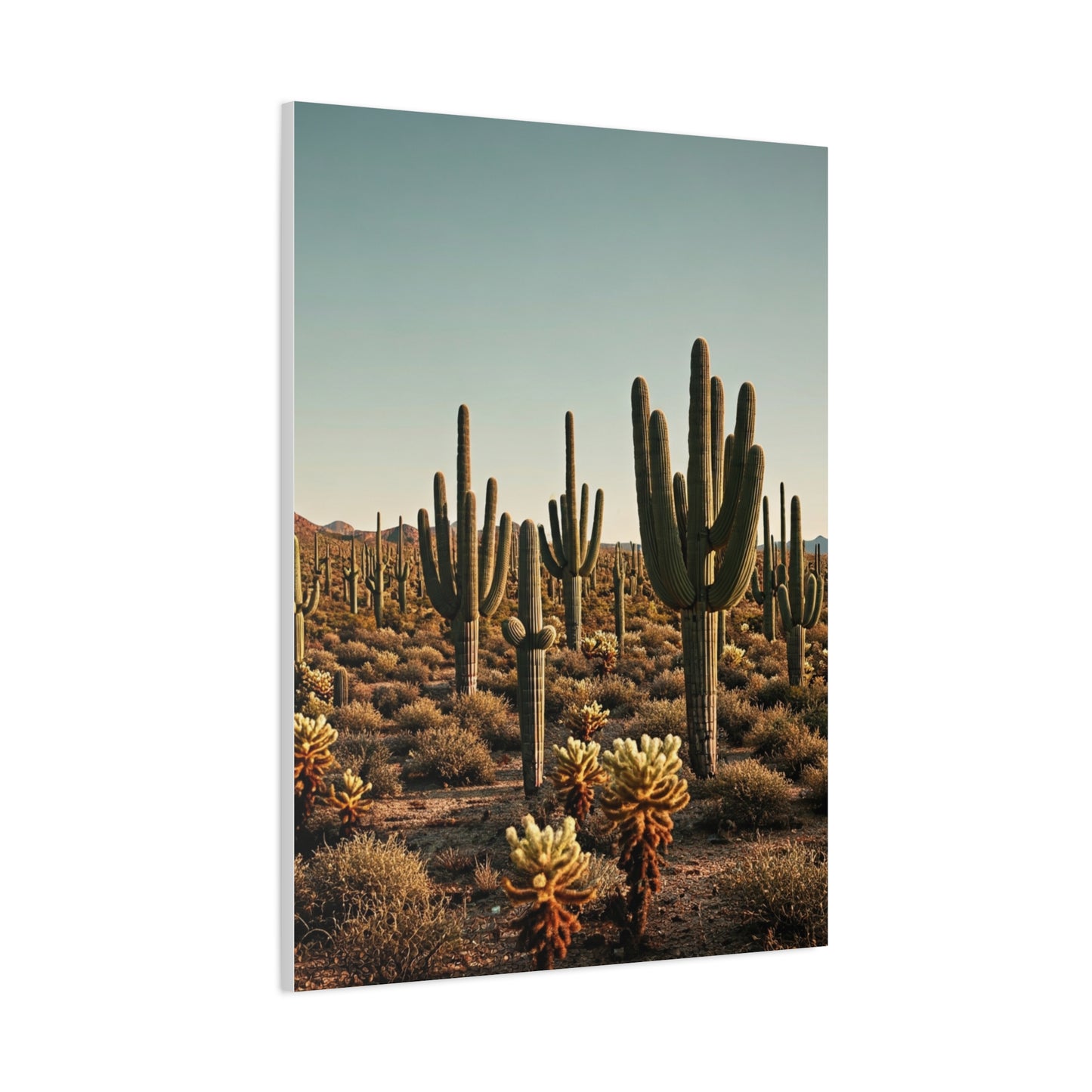 Saguaro Valley Desert Landscape Wall Art & Canvas Prints