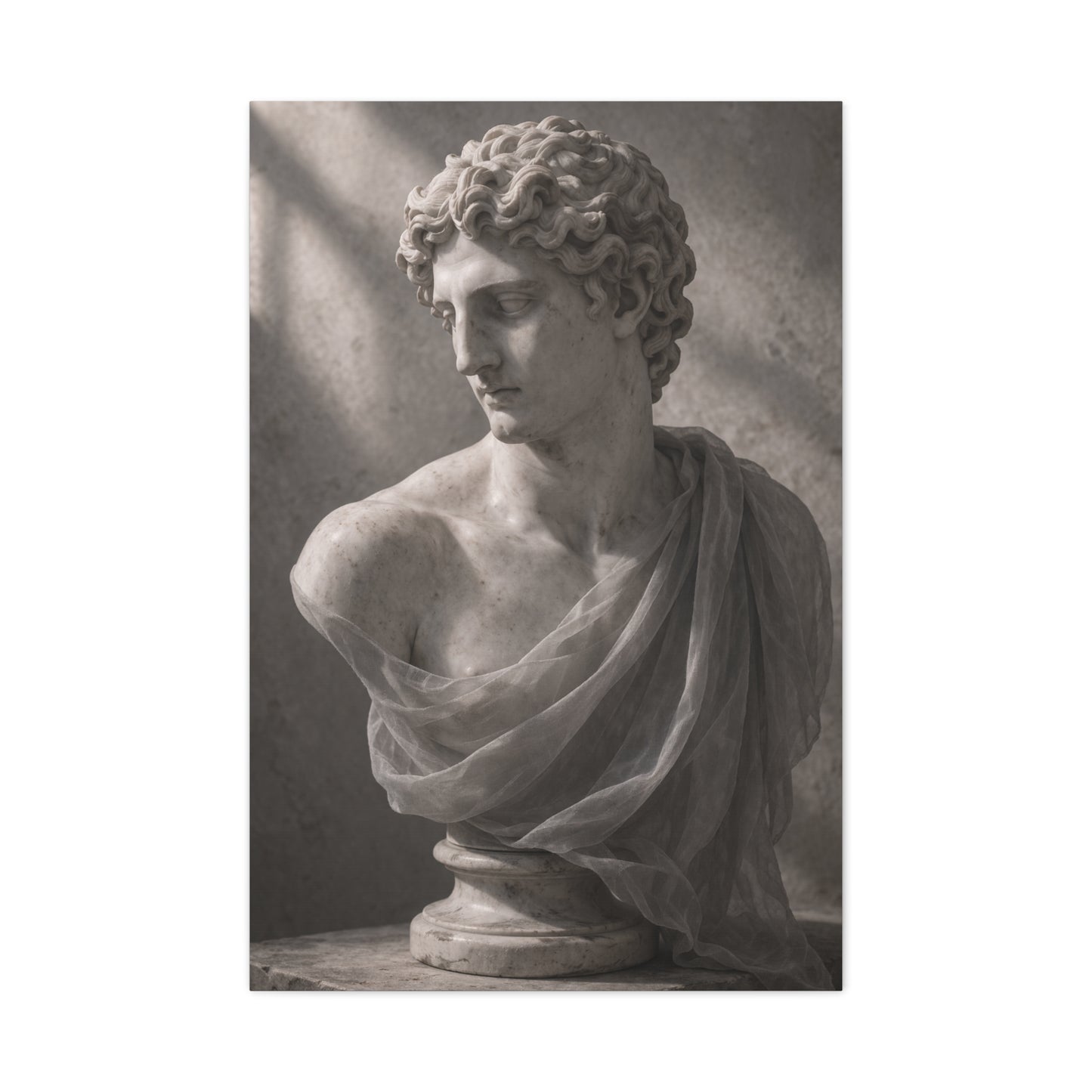 Classical Marble Bust Draped Wall Art & Canvas Print