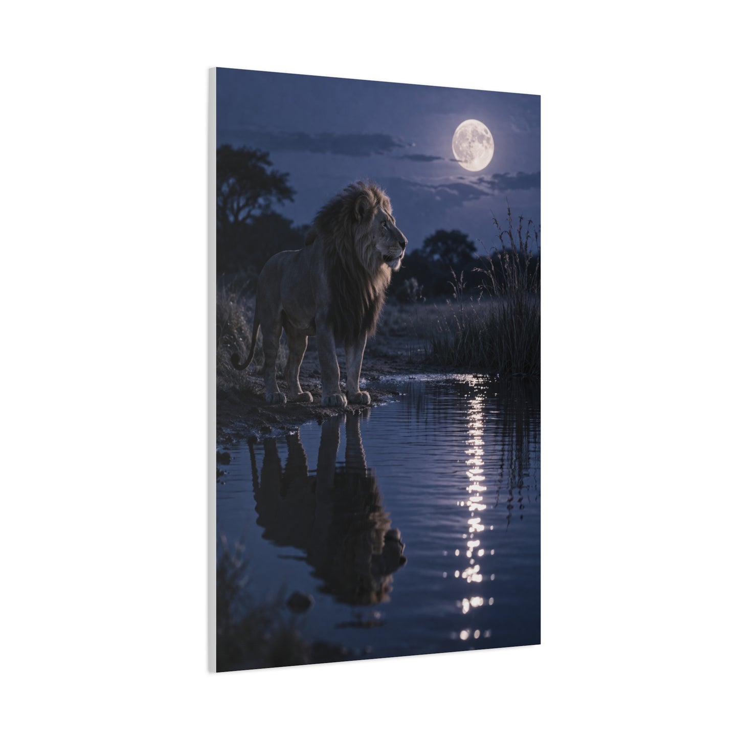 Lion by Moonlit Water Reflection Wall Art & Canvas Print