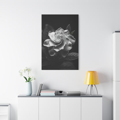 Timeless Garden Rose Portrait Wall Art & Canvas Prints