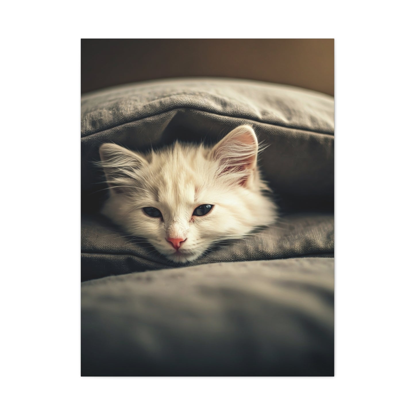 Peaceful Resting Kitten Wall Art & Canvas Prints