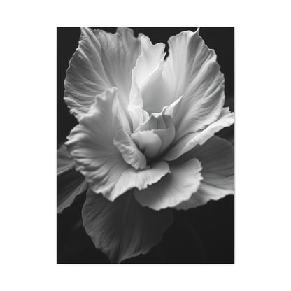 Sculpted Petal Elegance Close-Up Wall Art & Canvas Prints