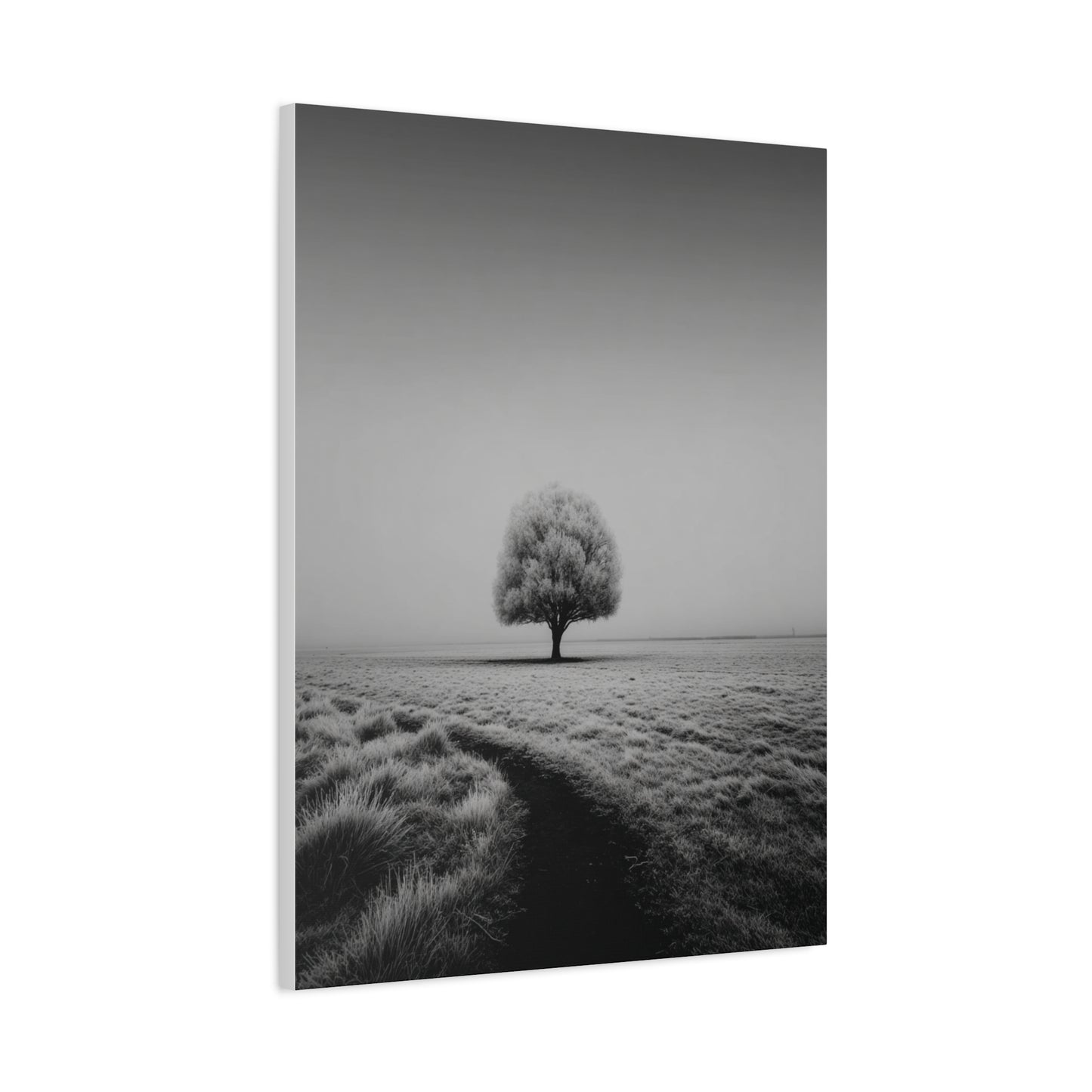 Lone Tree Winter Field Wall Art & Canvas Print