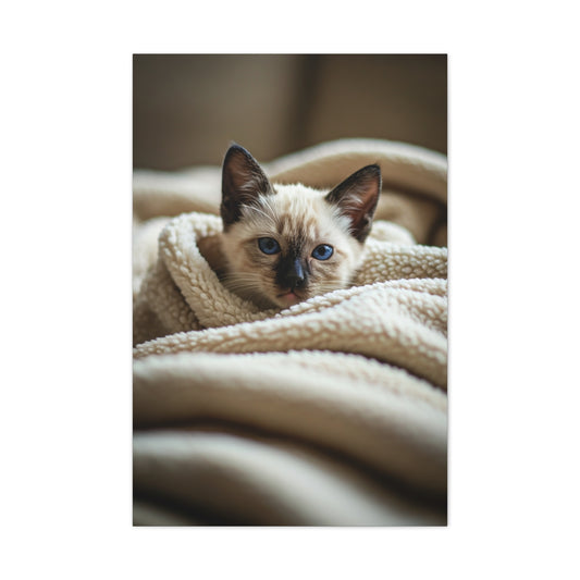 Cozy Kitten Comfort Wall Art & Canvas Prints