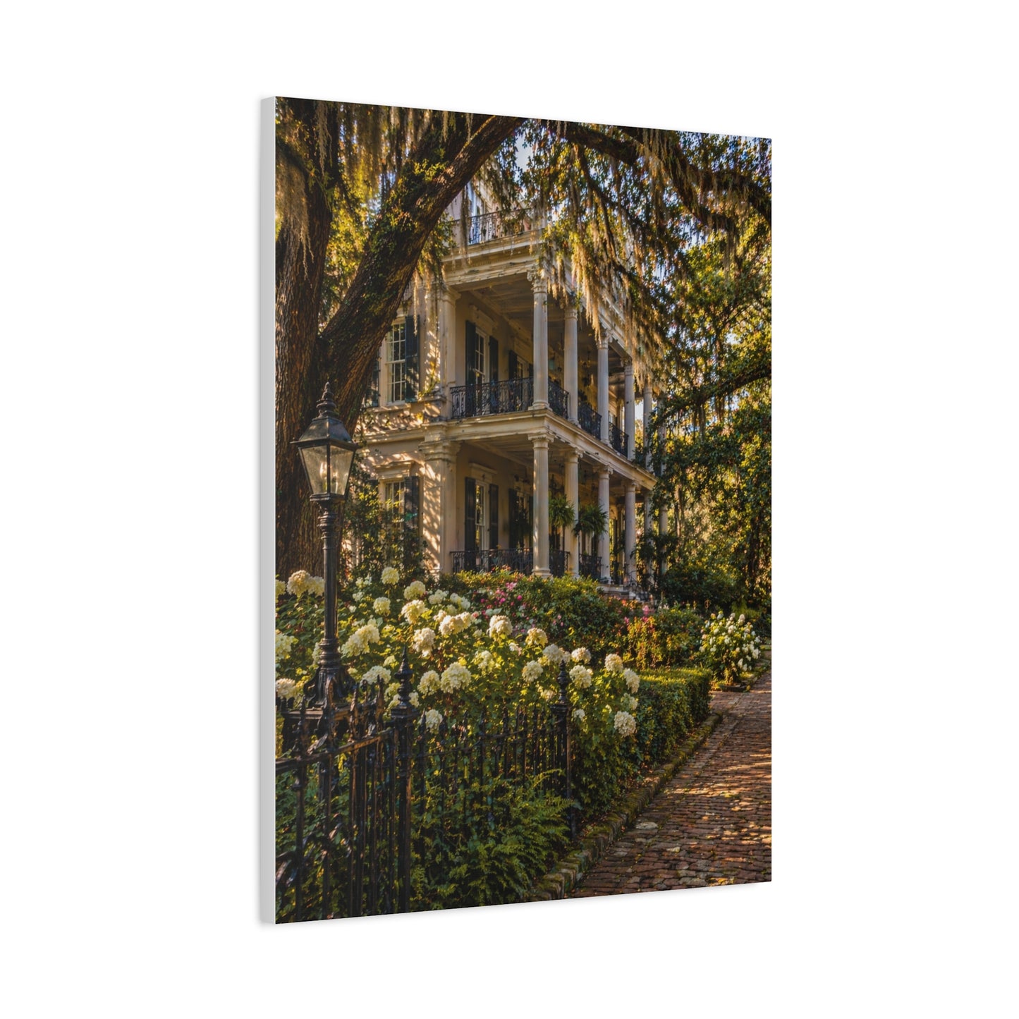 Garden District Mansion Under Live Oaks Wall Art & Canvas Print