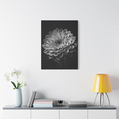 Full Bloom Dahlia Portrait Wall Art & Canvas Prints