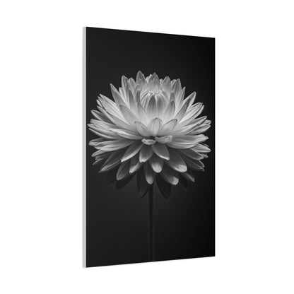 Symmetrical Dahlia Bloom Wall Art & Canvas Prints