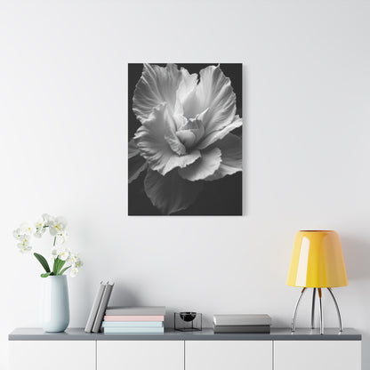 Sculpted Petal Elegance Close-Up Wall Art & Canvas Prints