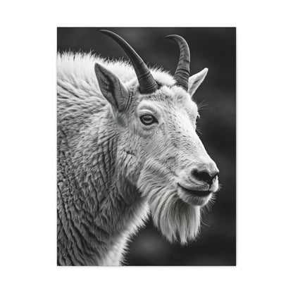 Alpine Goat Portrait Wall Art & Canvas Prints