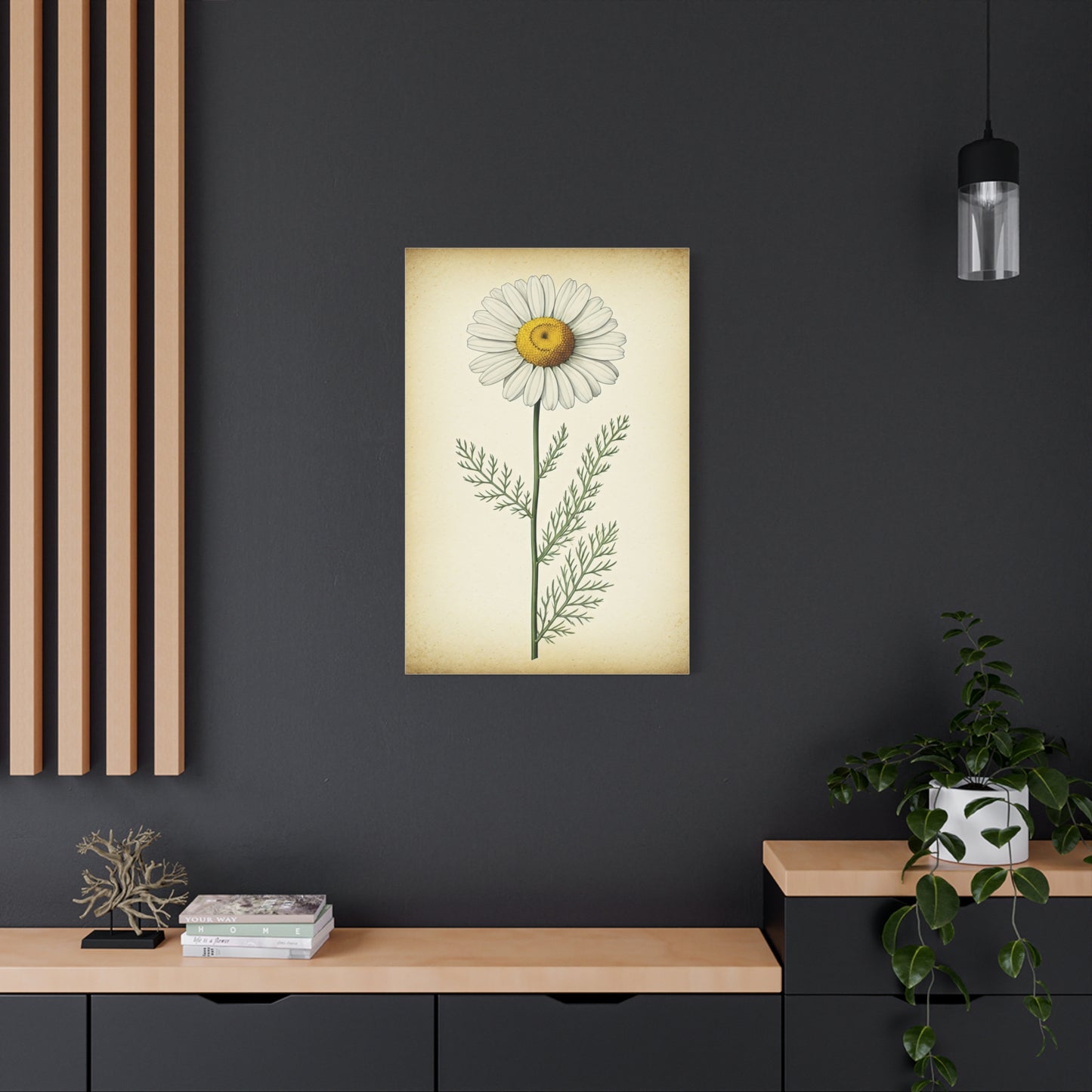 Chamomile Flower Herbal Illustration Wall Art & Canvas Prints