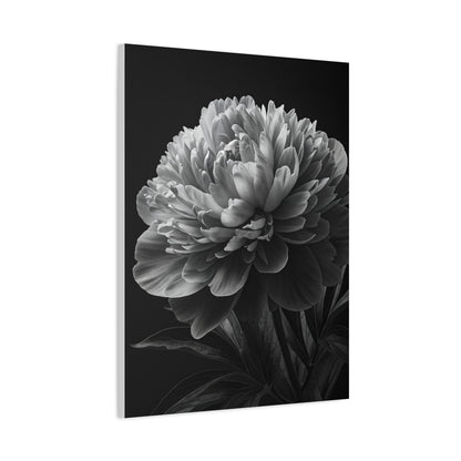 Midnight Peony Elegance Wall Art & Canvas Prints