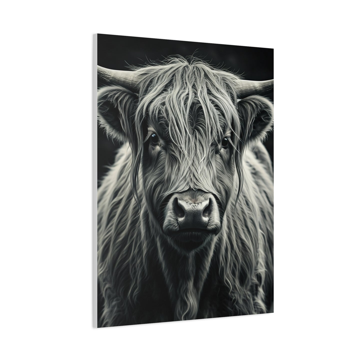 Highland Longhorn Portrait Wall Art & Canvas Prints