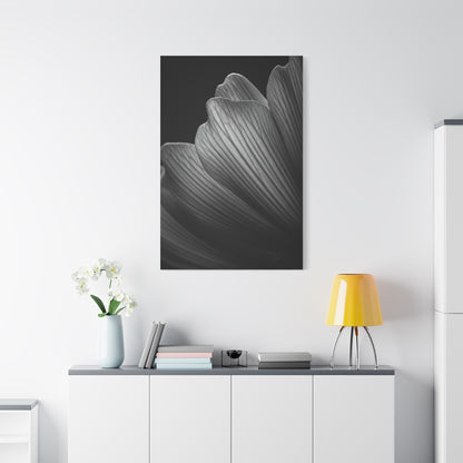 Sculpted Daffodil Bloom Study Wall Art & Canvas Prints
